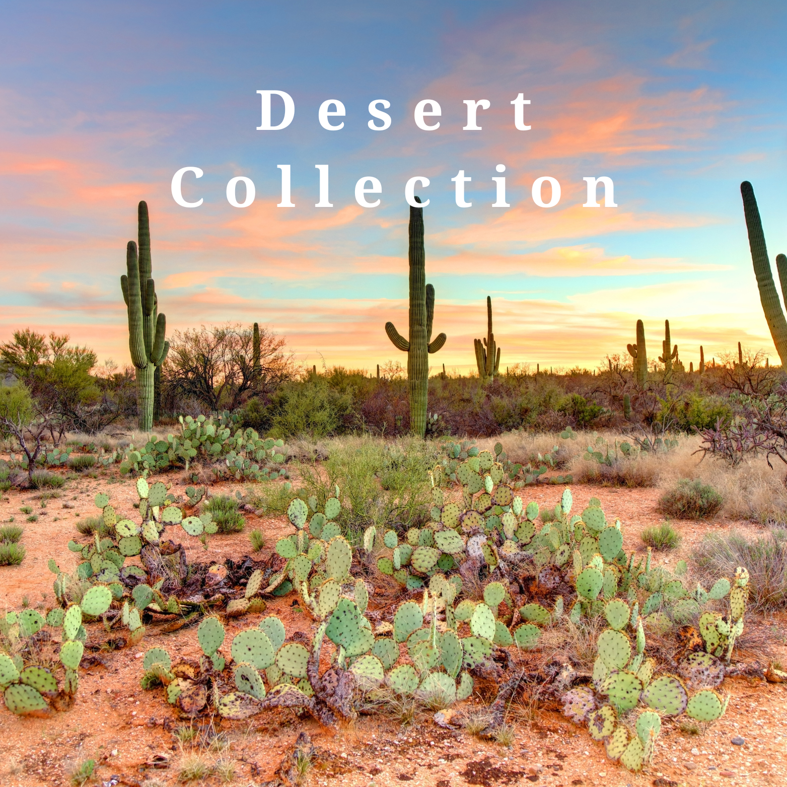 Desert Collection